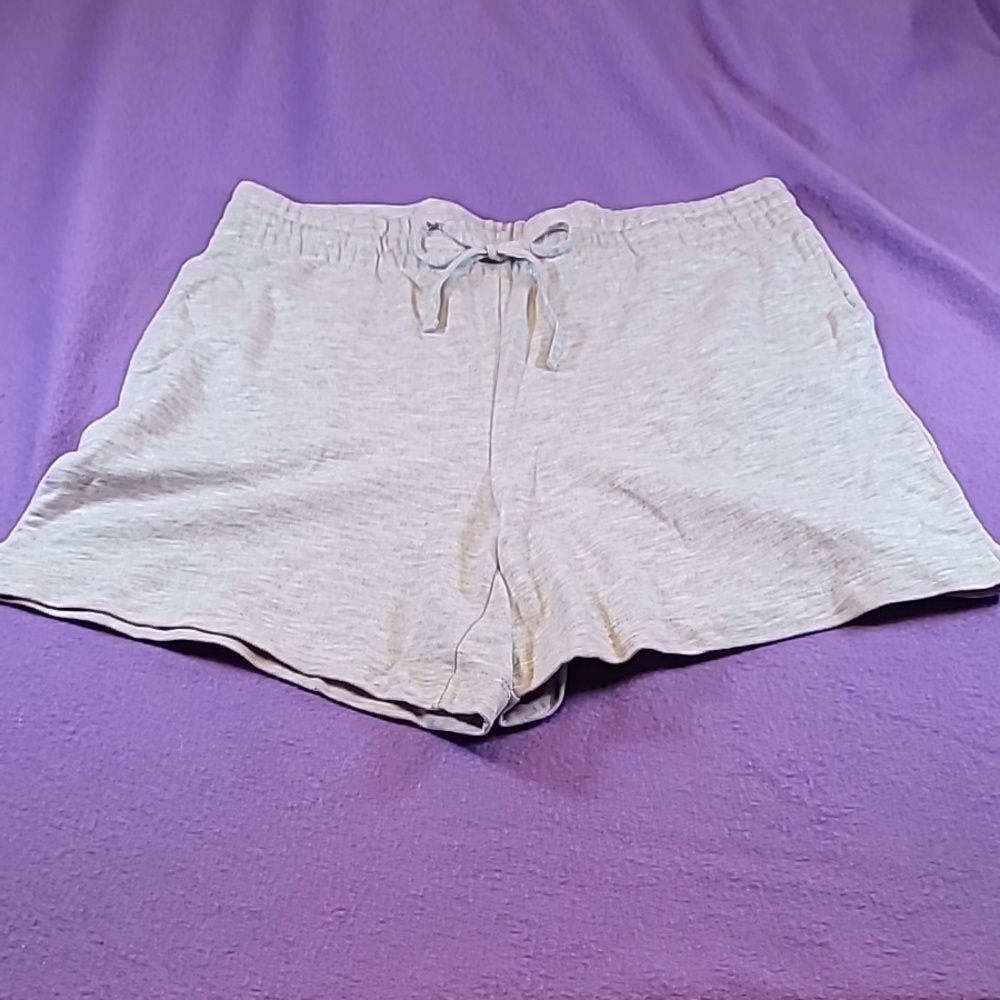 0718. NWOTs ~ Danskin ~ Grey Shorts ~ Large ~